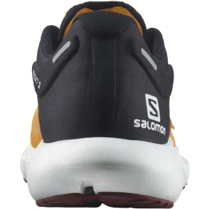 Livraison internationale SALOMON PREDICT2 BLAZING ORANGE/BLACK/SPICED APPLE 22 12