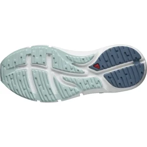 shopping pas cher SALOMON PREDICT2 W ICY MORN COPEN BLUE CHA 21 18